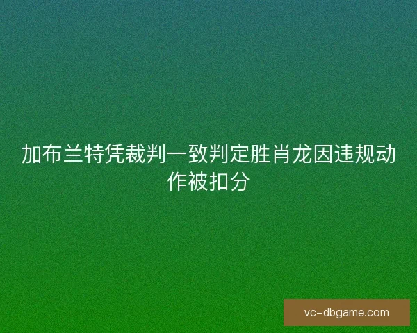 加布兰特凭裁判一致判定胜肖龙因违规动作被扣分