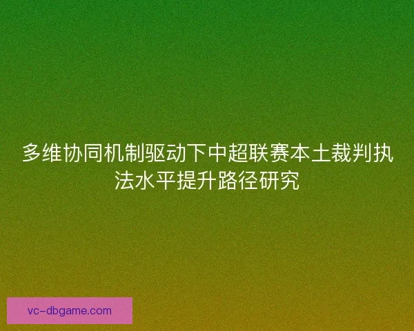 多维协同机制驱动下中超联赛本土裁判执法水平提升路径研究